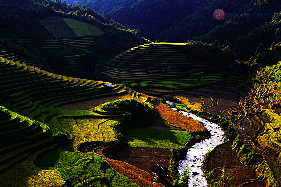 Mu Cang Chai, rizières en terrasse  Mu Cang Chai